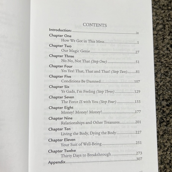 Excuse Me, Your Life is Waiting: The Astonishing Power of Feelings Lynn Grabhorn - Picture 7 of 16